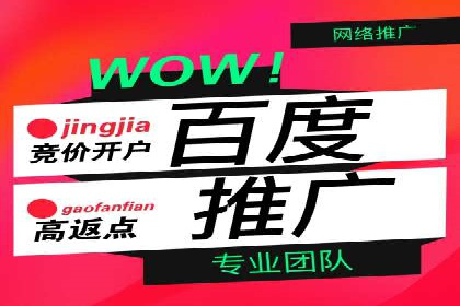百度广告推广案例费用案例分析